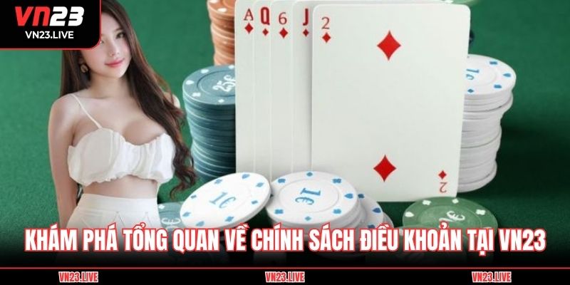 Khám phá tổng quan về chính sách điều khoản tại VN23