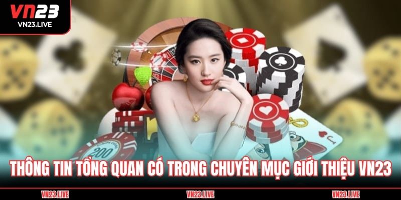 Thông tin tổng quan có trong chuyên mục giới thiệu VN23